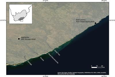 Turbidity influences the recruitment of Argyrosomus japonicus to estuarine nurseries